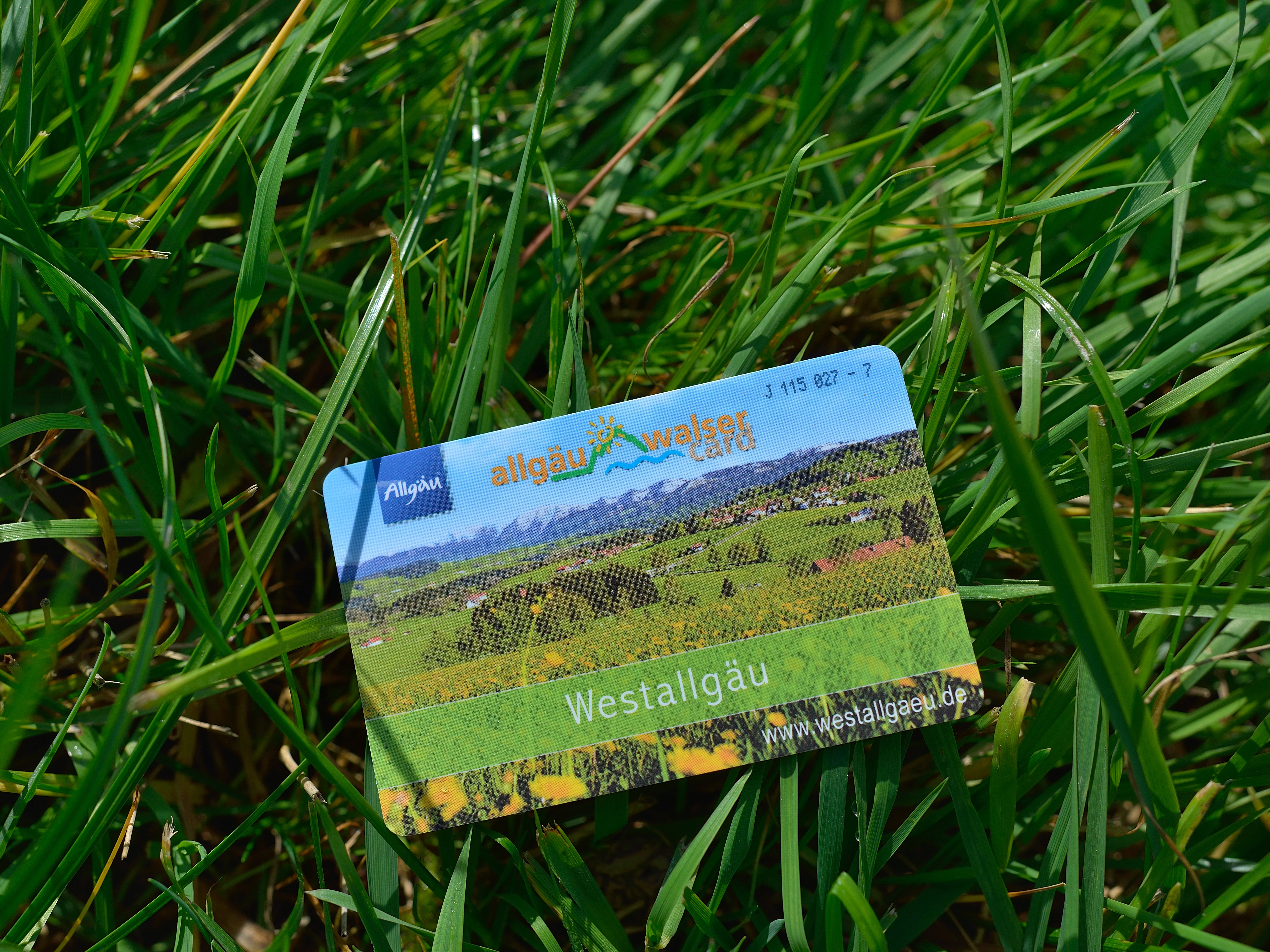  Allgäu-Walser-Card im Gras - das Bild wird mit Klick vergrößert 