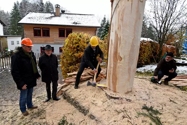 Fällung des Christbaumes in Weiler-Simmerberg (Das Bild wird durch klicken vergrößert)